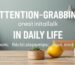Attention-Grabbing Details in Daily Life: Home, Relationships, and Personal Growth